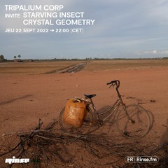 Tripalium Corp invite Starving Insect & Crystal Geometry - 22 Septembre 2022