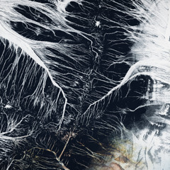 Liquid Architecture x WORM Radio