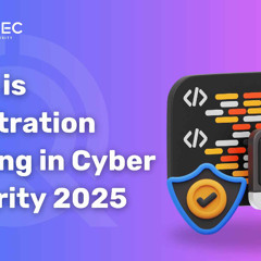 Penetration Testing