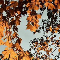 #TwerkTeam(Prod. Saintjacc).mp3