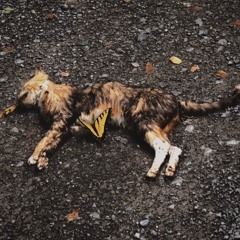 When We Loose Our Minds