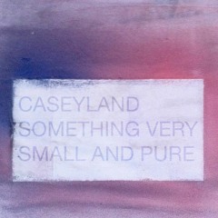 Something Very Small and Pure