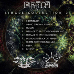 Prana - Primal Orbit (Original Mix)