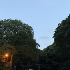 Summer Nature noise of Japan by the gate of shrine in the Tokyo: iPhone Xs max w/ SHURE MV88