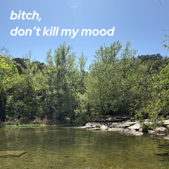 bitch, don't kill my mood (prod sweargod)
