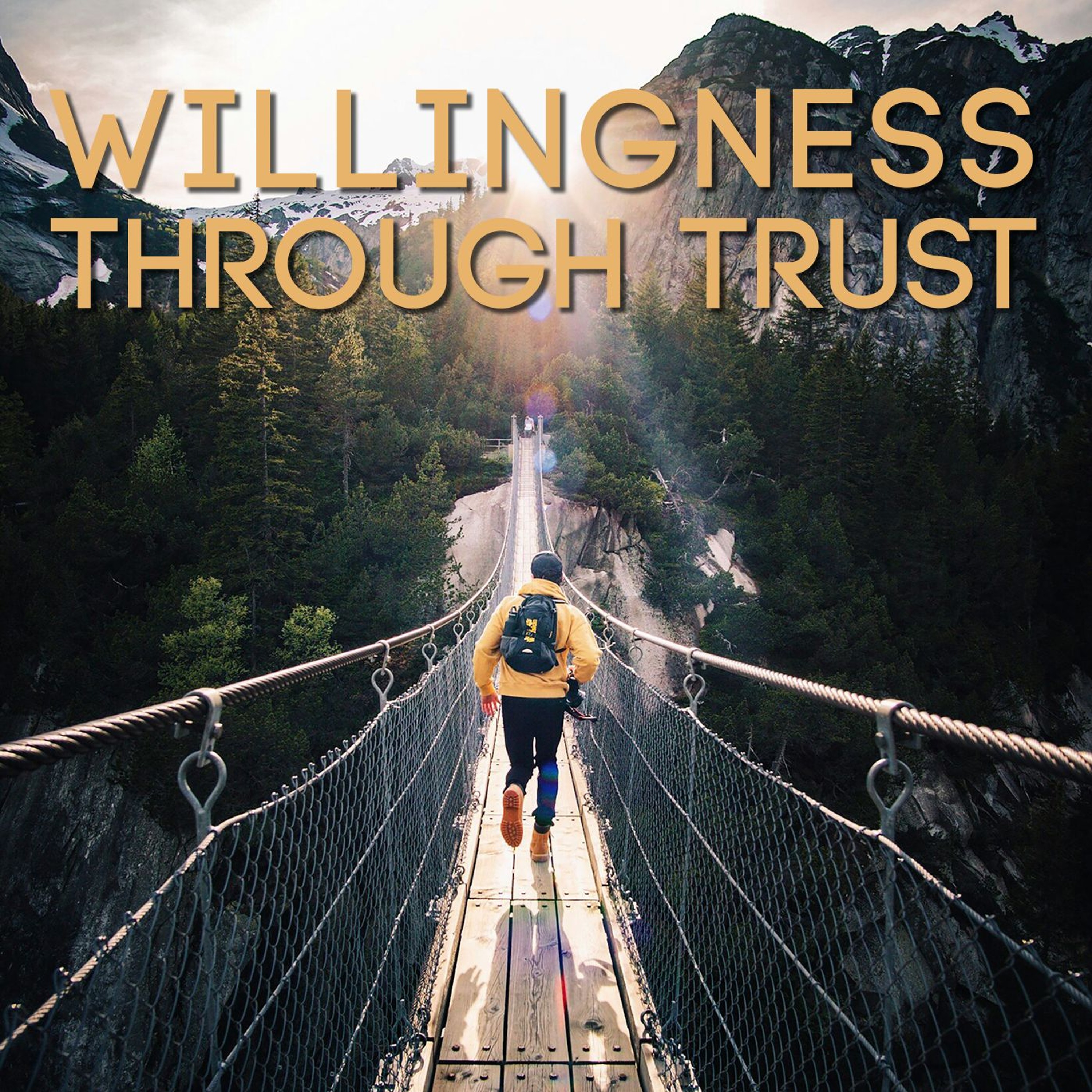 Willingness Through Trust episode artwork