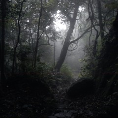 Lights from darkness