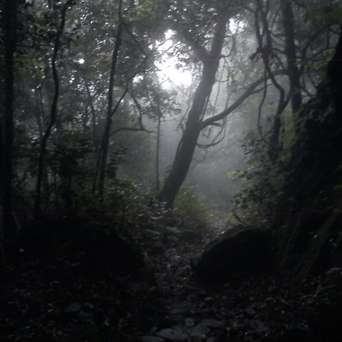 Lights from darkness
