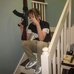 weiland - einstein (albert einstein) extended snippet