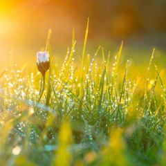 Spring will come