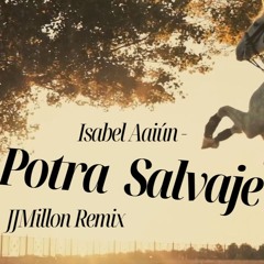 Potra salvaje (JJMillon Breakbeat Remix)