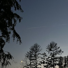 ohne titel