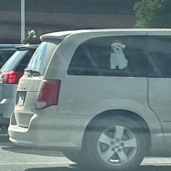 💻 (@zoroaster @1hirosix @tidvll)