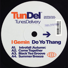 I GEMIN - Do Yo Thang EP [TUNESDWAX004]