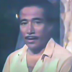 النور موصول - محمد الموجى