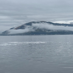 Different Shore