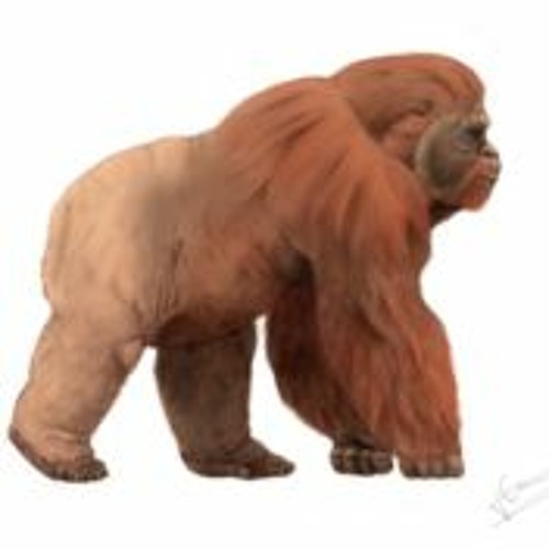 Gigantopithecus