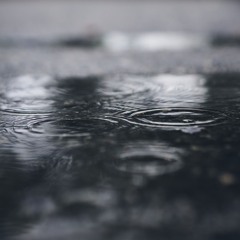 The Rain