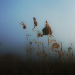 Yann Tiersen - Ker al Loch (Rendeece mix)