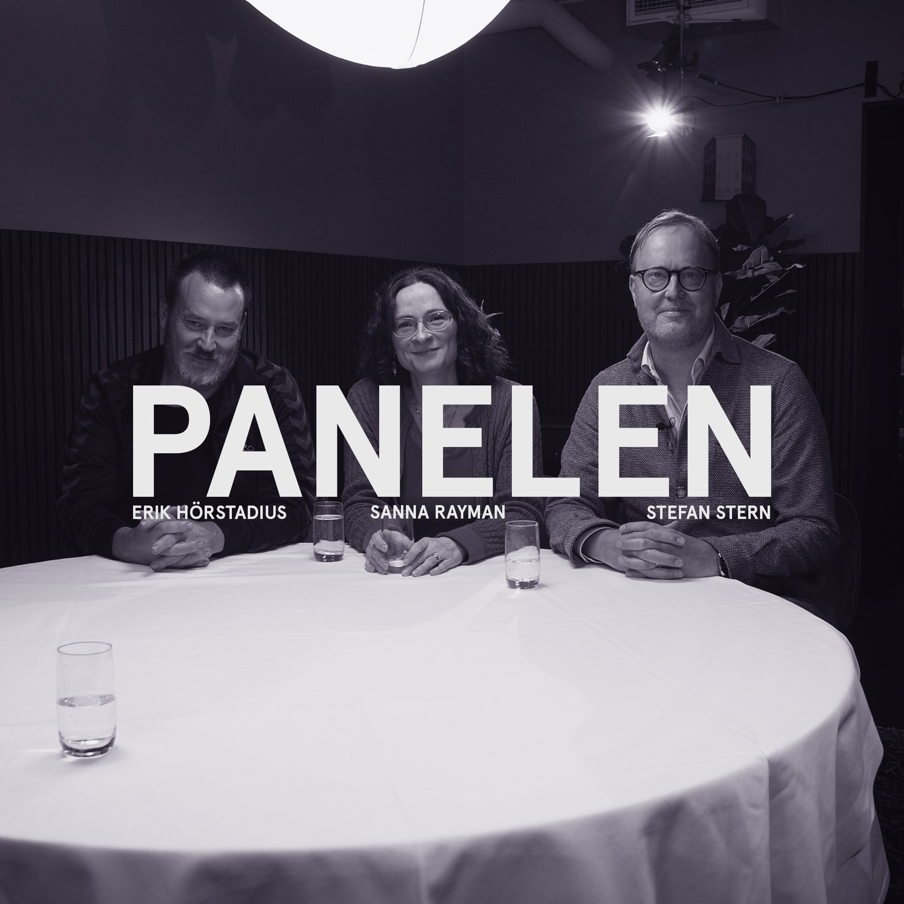 Podcastbild: Panelen 2023 – Erik Hörstadius om judehatet/antisemitismen: ”Skam när jag möter judiska vänner”