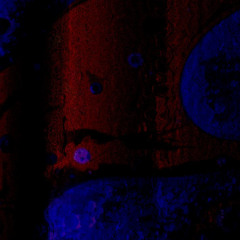 19 Dec - The Vanishing White