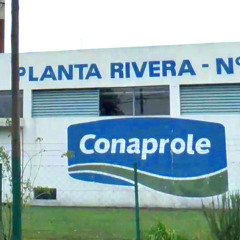 Gabriel Fernández Secco - Cierre de la planta de Rivera