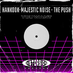 You Want - Hankook, Majestic Noise & Push