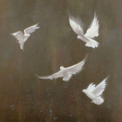(free) dominic fike, indie rock, shoegaze type beat - "goodbye"