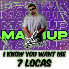 I Know You Want Me x 7 Locas 127-142 (Luis Jimenez MASHUP)