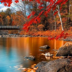 Lena Meyer-Landrut - Satellite (Petitpierre Remix)