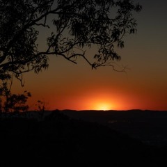 Where Are The Drugs Going