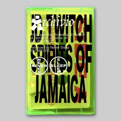 JD Twitch - Live At Sprits Of Jamaica July 1992 [NSRTAPE003] side 1