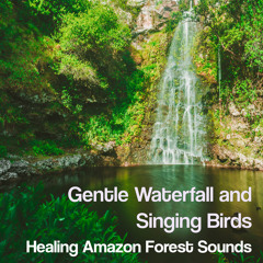 Gentle Waterfall and Singing Birds