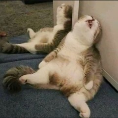 Lazy Bones