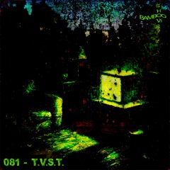 BS081 - T.V.S.T.