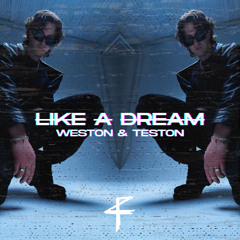 LIKE A DREAM