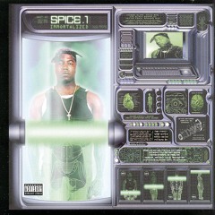 High Powered (Album Version)