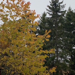 running away from you lol(wissery)