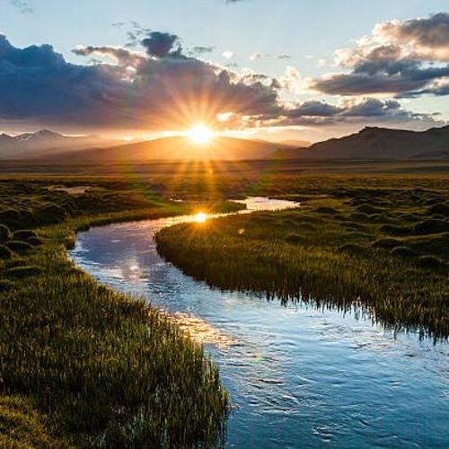 Down the River ( with Paul Craig)