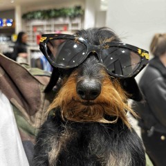 BHZ - OVERDOSE   Slowed&Reverb