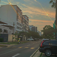 CALL ME- mr.bird/tom platz