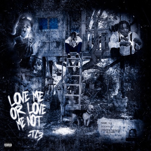 TC3- Love Me Or Love Me Not