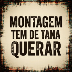 MONTAGEM TEM DE TANA QUERAR SLOWED
