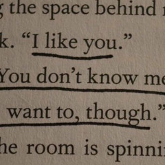 i will follow you into the dark cover