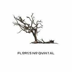 Flores No Quintal 💔🌹 [Dexhenry & 3t]