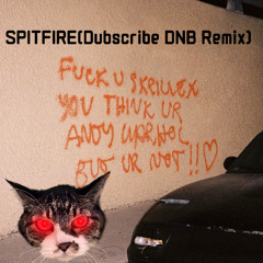 Skrillex - SPITFIRE(Dubscribe DNB Remix)[Free DL]
