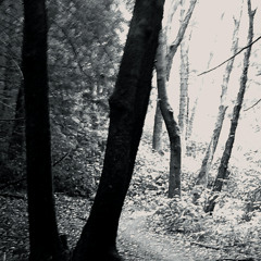 Where the Empty Part of Me Lives