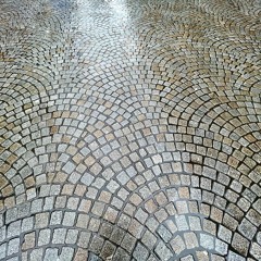 3. The Finish Line . The Recyclists . Starry Plough 9.21.24