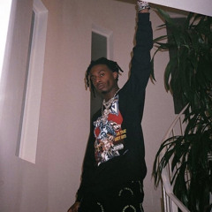 Playboi carti- King tut (snippet)