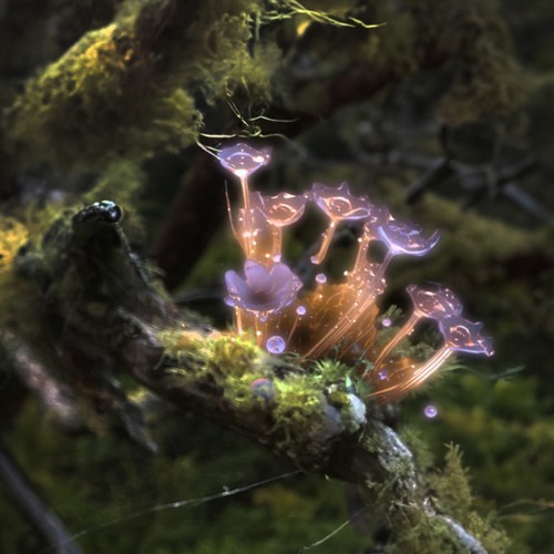 WTP @ IT MIRACLE - SATURN RETURNS